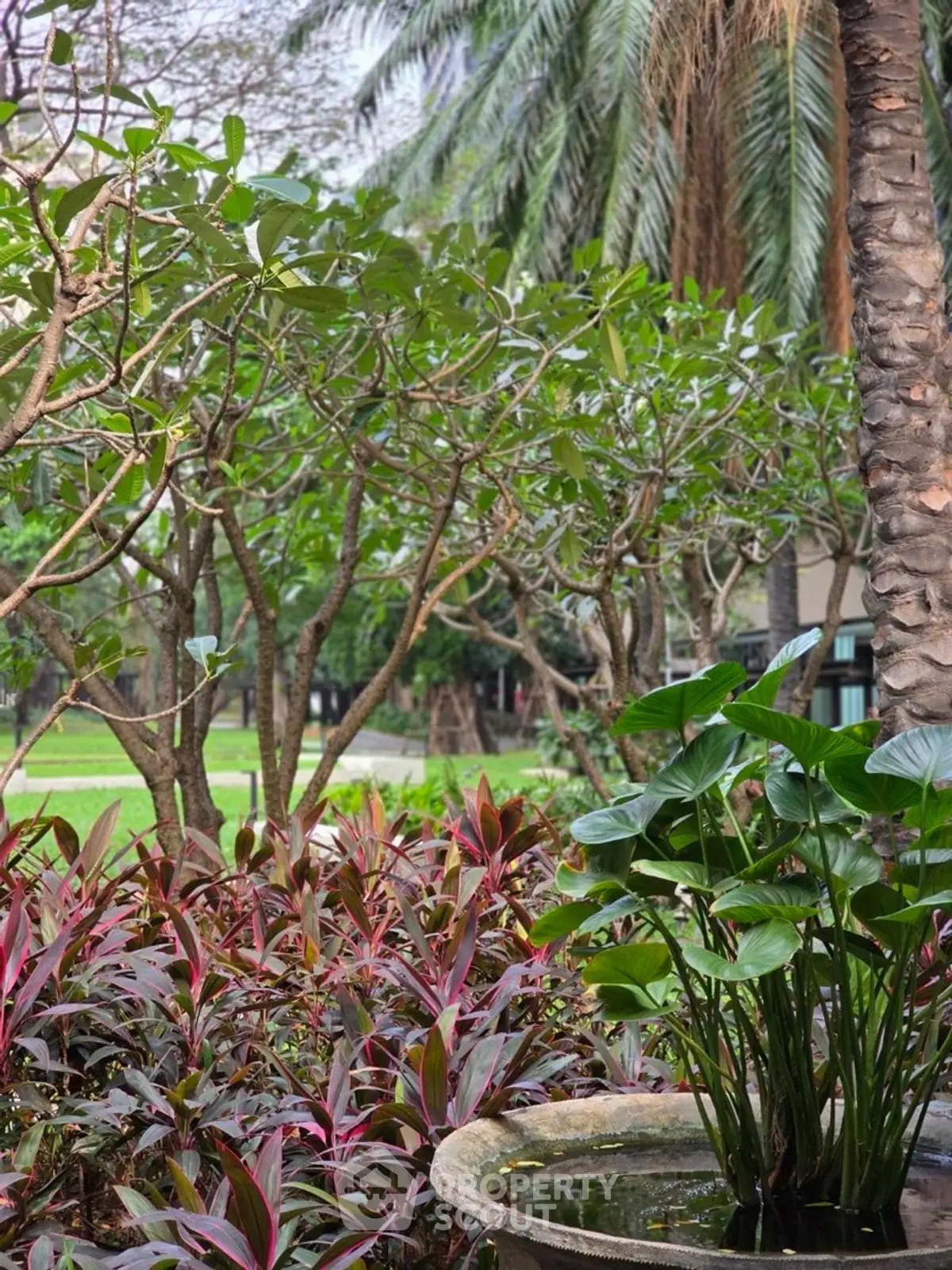 Lush garden view with tropical plants and serene ambiance
