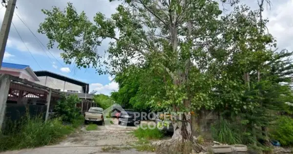 image_rental-30752395