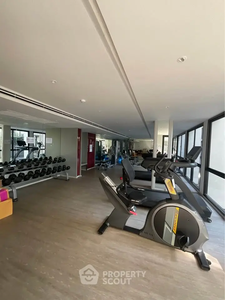 Modern gym with state-of-the-art equipment and large windows in luxury apartment building.