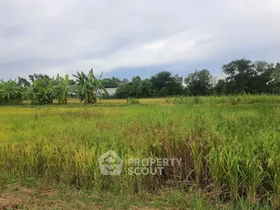 Expansive green field with lush vegetation and distant trees under a cloudy sky.
