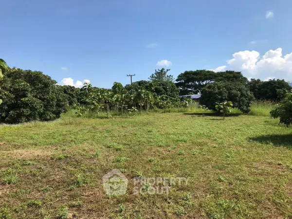 image_rental-19452987