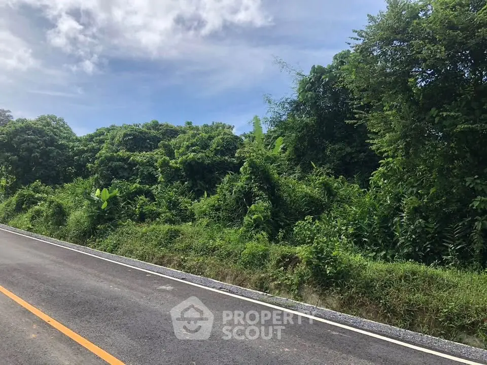 Scenic roadside view with lush greenery and clear skies, perfect for real estate development.