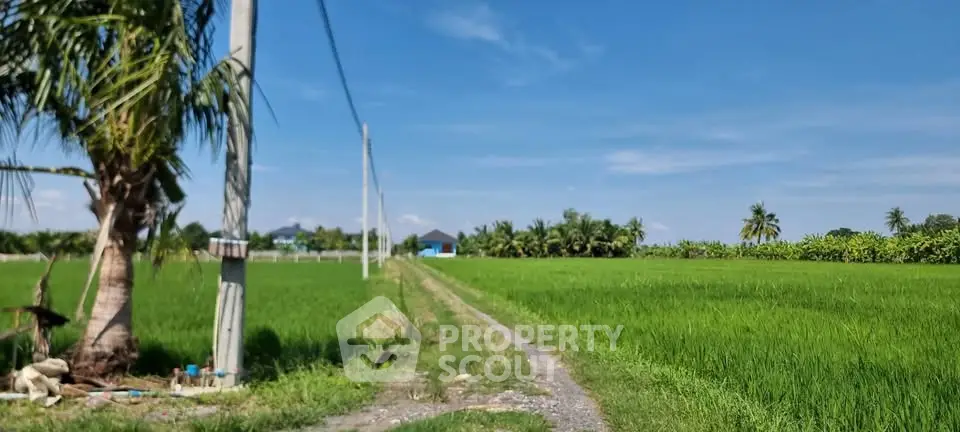 Scenic rural landscape with lush green fields and clear blue sky, perfect for serene living.