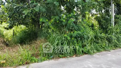 Lush greenery surrounding a potential real estate plot, ideal for development.