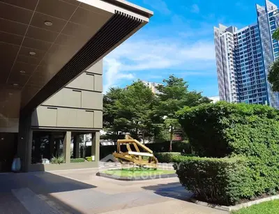 image_rental-28440913