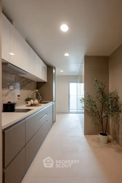 Modern kitchen with sleek cabinetry and natural light, featuring a minimalist design and potted plant.