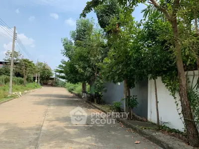 Charming suburban street with lush greenery and white fence, perfect for peaceful living.