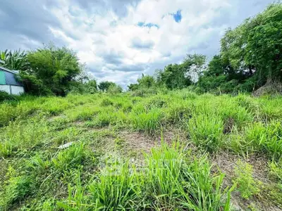 Expansive green land plot with lush vegetation, perfect for development opportunities.