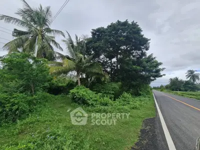 Lush green roadside plot with tropical trees, ideal for development.