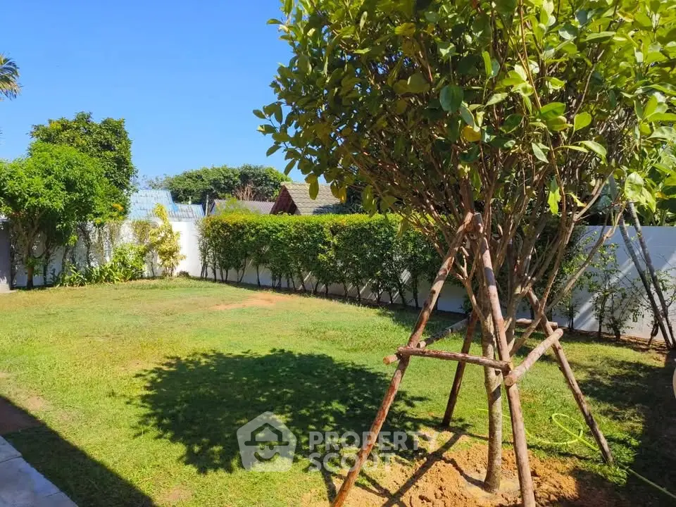 Spacious garden with lush greenery and clear blue sky, perfect for outdoor relaxation.