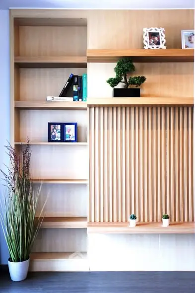 Stylish modern living room with elegant wooden shelving and decorative plants.
