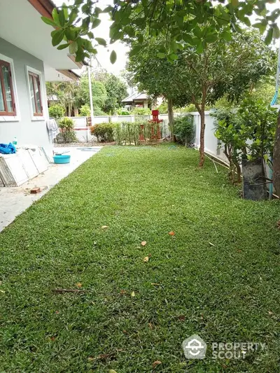 Charming garden area with lush greenery and trees beside a modern house exterior.