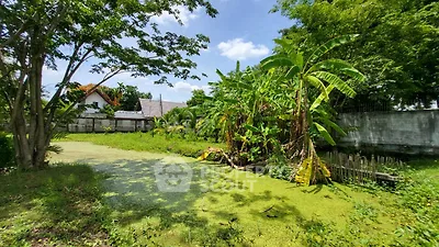 image_rental-13913768