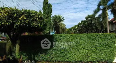 Lush garden with tall palm trees and manicured hedge in a residential area.