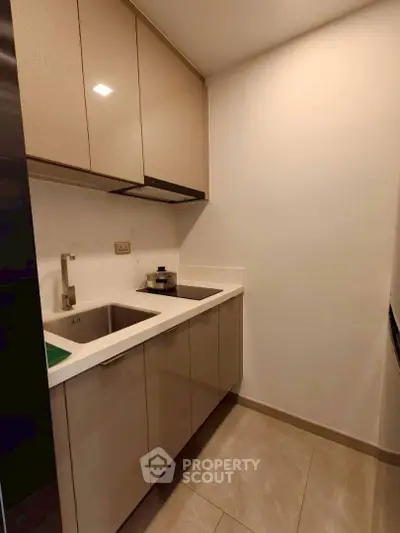 Modern compact kitchen with sleek cabinetry and dual sinks