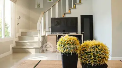 Modern living room with stylish staircase and vibrant cactus decor