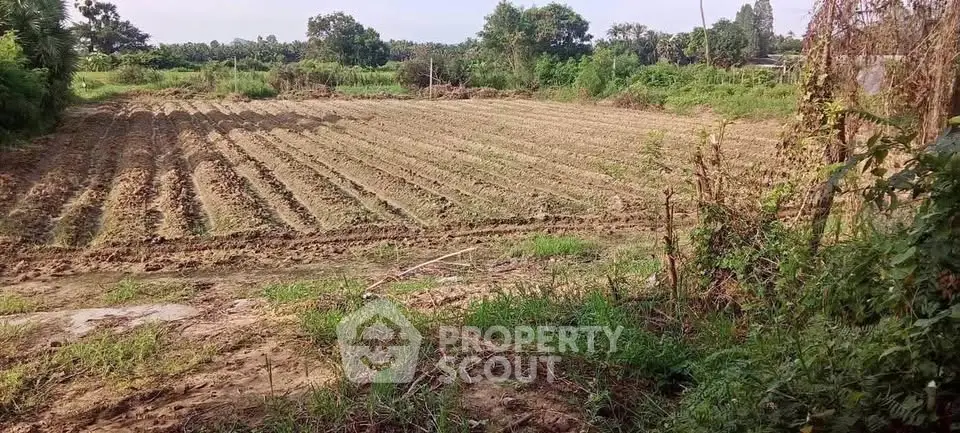 Expansive agricultural land with lush greenery, perfect for farming or development opportunities.