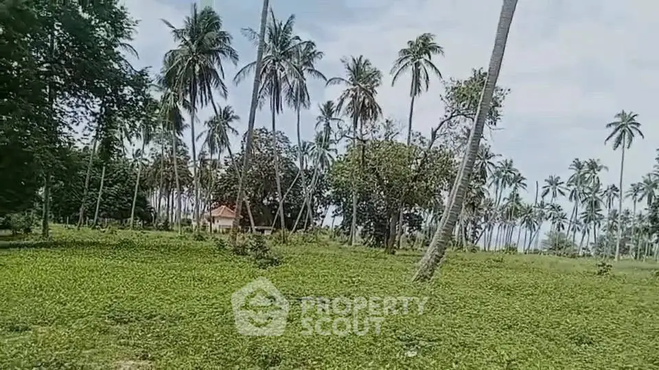 Scenic tropical landscape with lush greenery and tall palm trees, perfect for serene living or vacation retreat.
