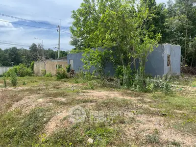 Vacant land with overgrown vegetation and partially constructed building.