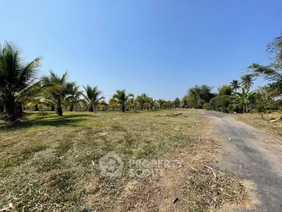 Expansive land with palm trees under clear blue sky, ideal for development or agriculture.