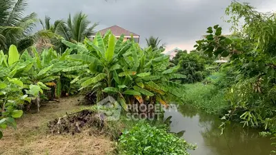 image_rental-27238170