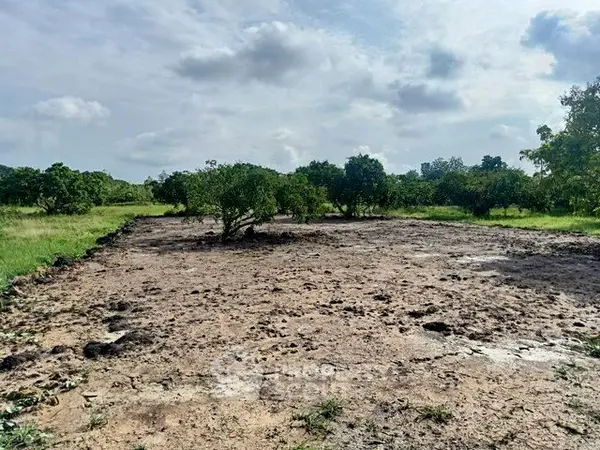 image_rental-29449447