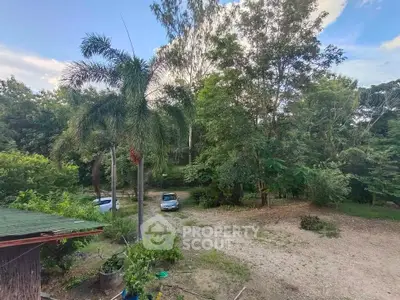 Spacious outdoor area with lush greenery and ample parking space, perfect for nature lovers.