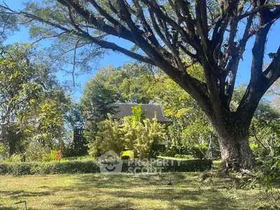 image_rental-31578196