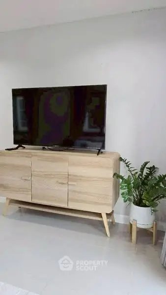 Modern living room with sleek TV stand and potted plant, minimalist decor.