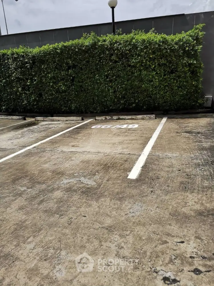 Spacious parking area with lush green hedge and clear markings
