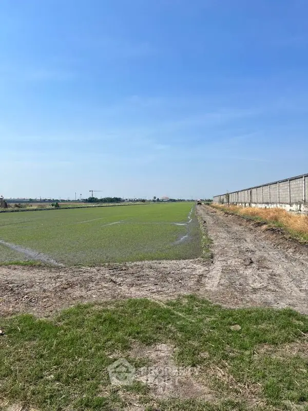 image_rental-15166871