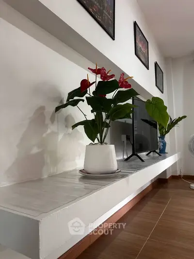 Modern living room with stylish TV setup and decorative plants on a sleek shelf.