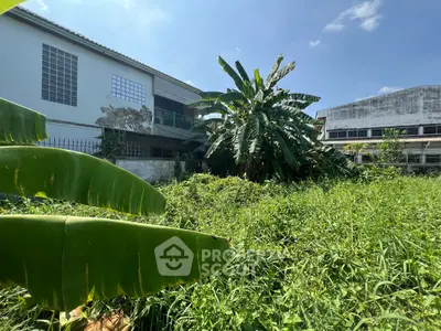 Spacious garden area with lush greenery and banana trees, adjacent to a residential building.
