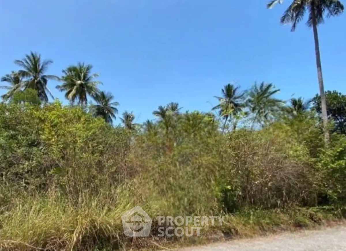 Screenshot 2569-02-12 at 12.56.32.jpg