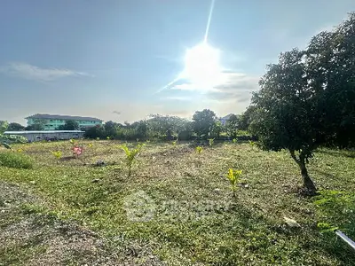 image_rental-28282072