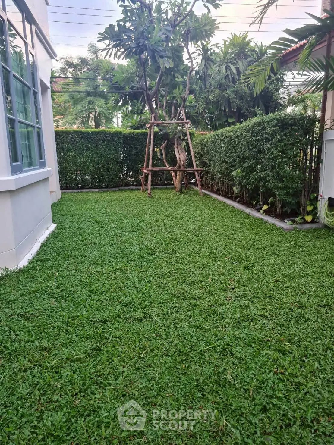 Charming garden area with lush greenery and privacy hedges, perfect for relaxation and outdoor activities.