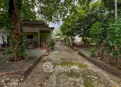 Charming rustic garden with lush greenery and paved pathway