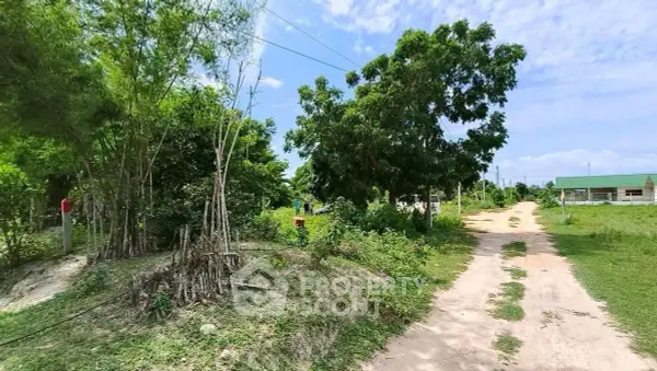 image_rental-27490903