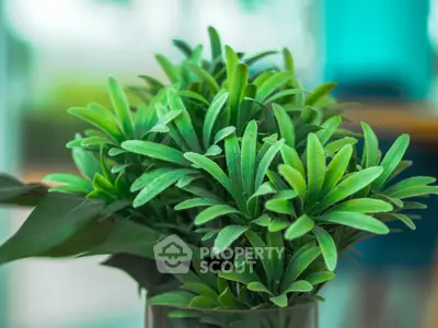  1 Bedroom Condo at Aspire Ngamwomgwan-2