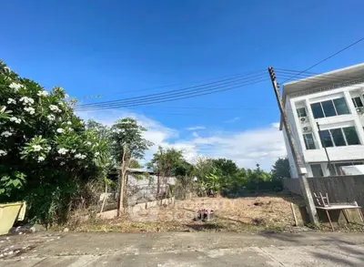 image_rental-31501788