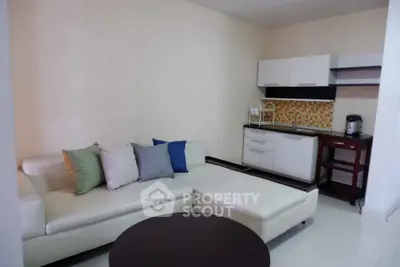 Cozy living room with modern kitchenette and stylish sofa