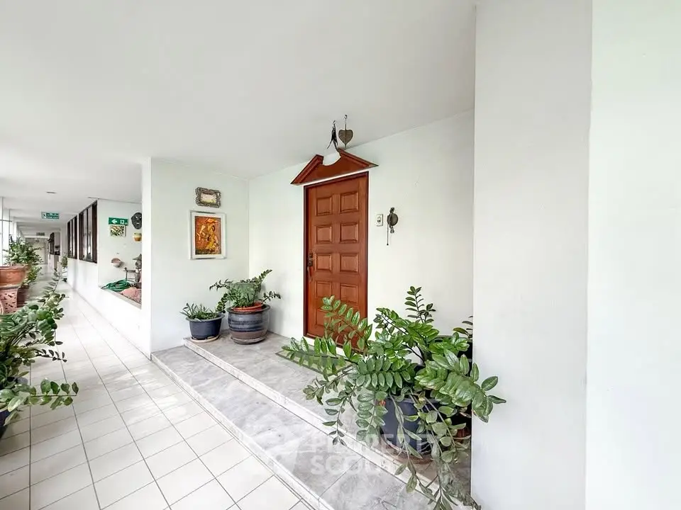 Charming apartment entrance with potted plants and decorative artwork in a bright corridor.