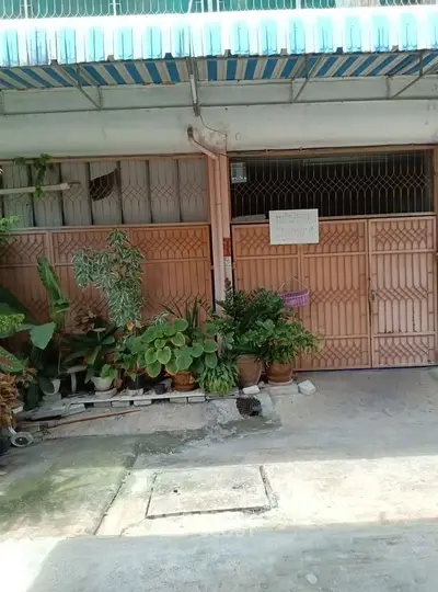 Charming residential entrance with lush potted plants and secure gate, perfect for a cozy urban retreat.
