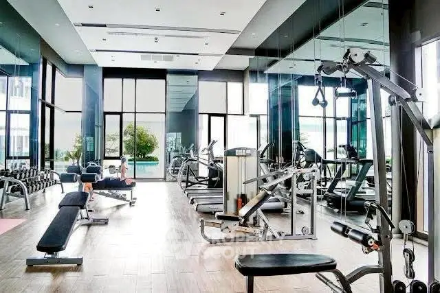 Spacious modern gym with state-of-the-art equipment and large windows for natural light.