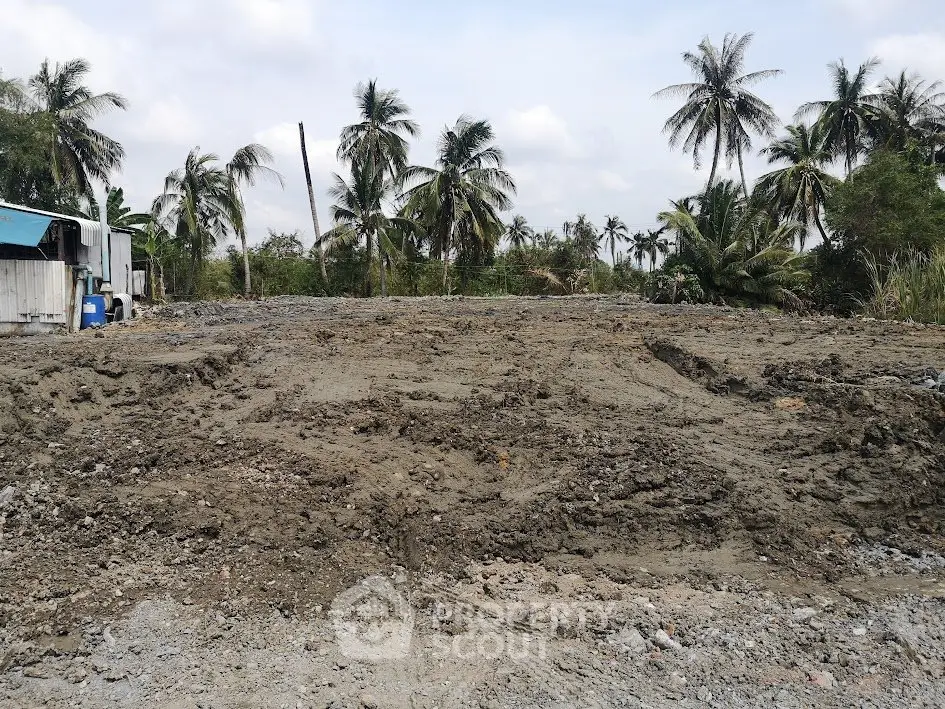 Prime land for sale with lush palm trees and clear skies, perfect for development.