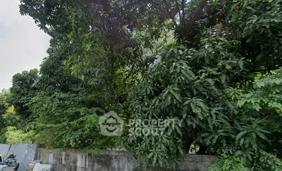 image_rental-22039200