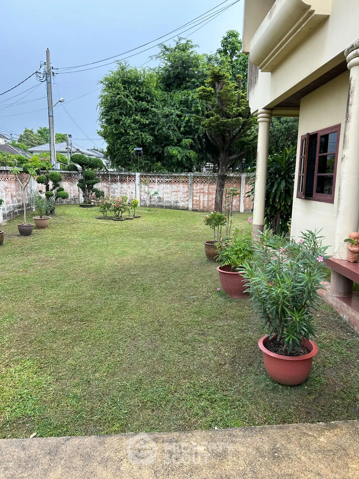 Charming garden view of suburban home with lush greenery and potted plants.