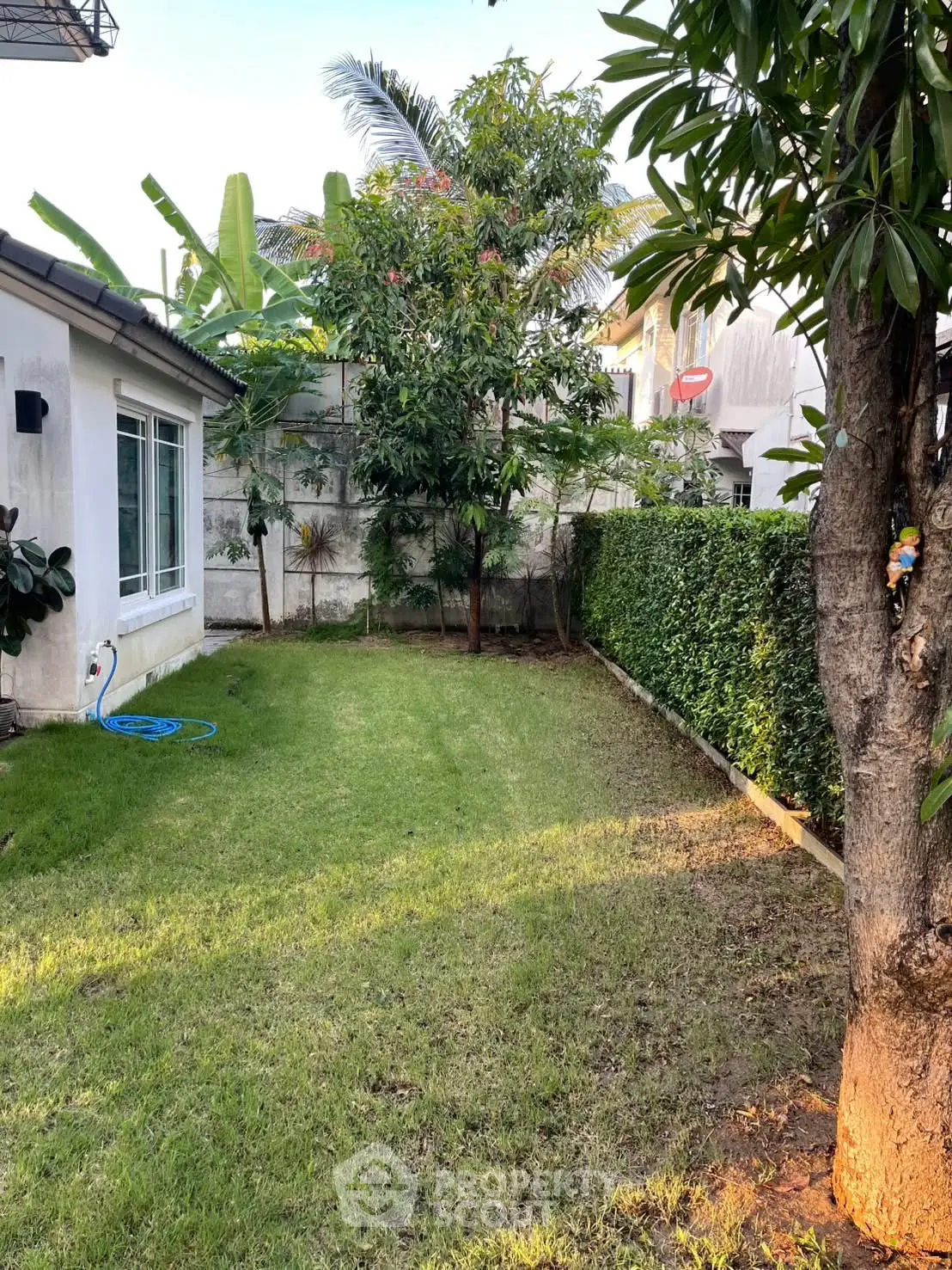 Charming backyard garden with lush greenery and privacy hedge, perfect for relaxation and outdoor activities.