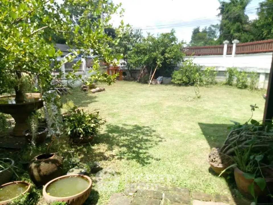Spacious garden with lush greenery and potted plants, perfect for outdoor relaxation.