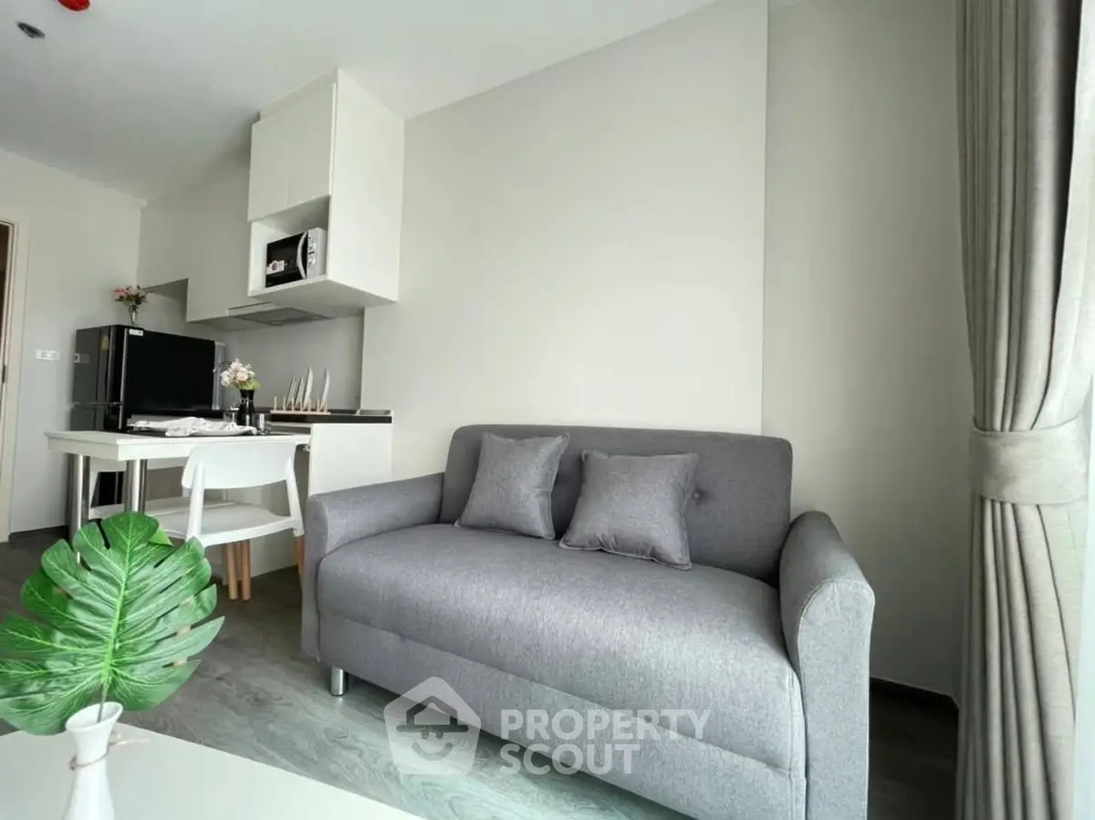 Modern living room with cozy gray sofa and compact kitchen area